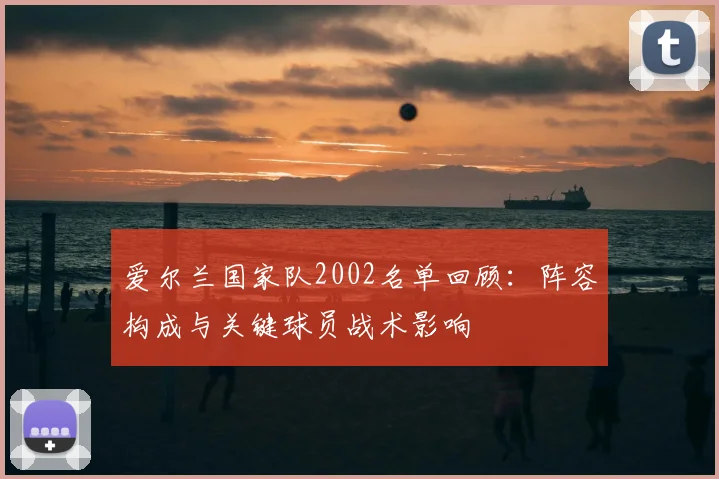 爱尔兰国家队2002名单回顾：阵容构成与关键球员战术影响