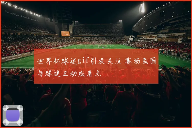 世界杯球迷gif引发关注 赛场氛围与球迷互动成看点