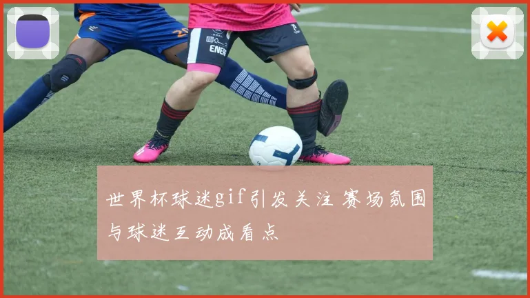 世界杯球迷gif引发关注 赛场氛围与球迷互动成看点