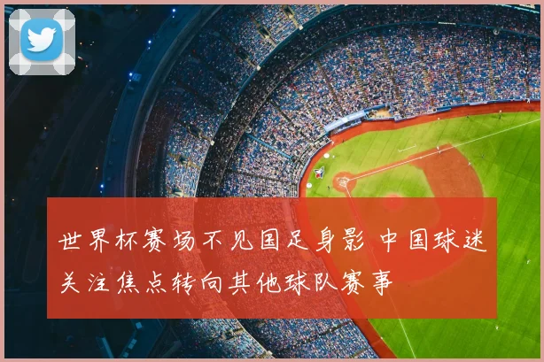 世界杯赛场不见国足身影 中国球迷关注焦点转向其他球队赛事