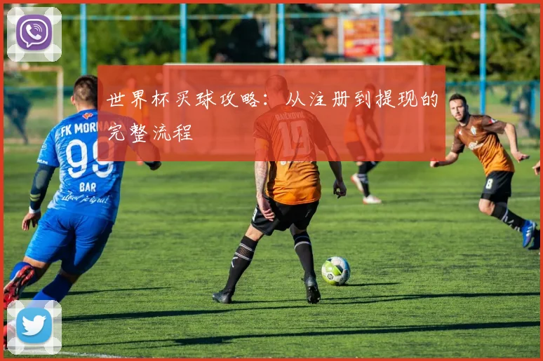 世界杯买球攻略：从注册到提现的完整流程
